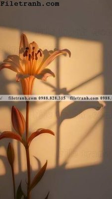 File gốc buc tranh truu tuong ve hoa Morandi 110 (ảnh rõ nét) để in