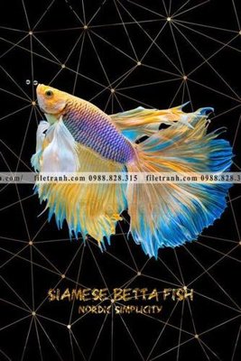 Download file tranh ca vang mau sac sang trong nhe nhang 101 (file gốc PSD)