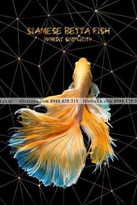 Hình ảnh file gốc ca vang mau sac sang trong nhe nhang 102 cho in UV