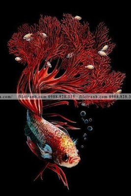 File PSD ca vang mau sac sang trong nhe nhang 112 (bản gốc) đã tách nền