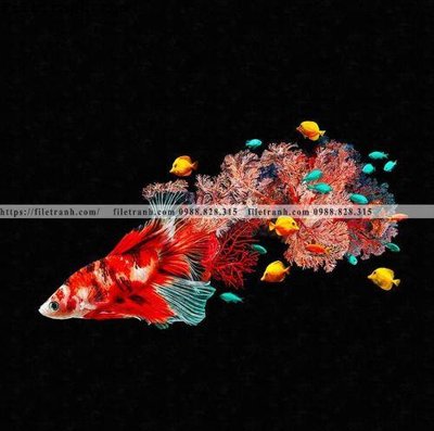 Tải file gốc ca vang mau sac sang trong nhe nhang 126 (bản PSD) còn layer