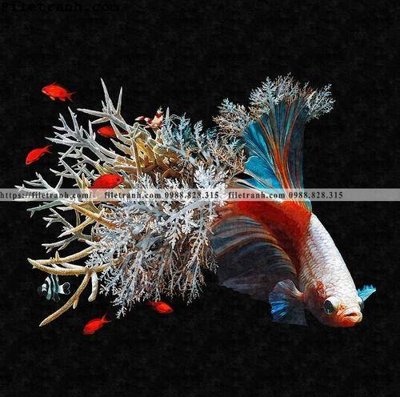 File tranh quảng cáo ca vang mau sac sang trong nhe nhang 128 (file gốc) chuyên nghiệp