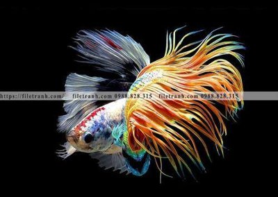 File gốc ca vang mau sac sang trong nhe nhang 135 cho in ấn và thiết kế