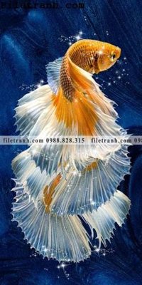 File tranh ca vang mau sac sang trong nhe nhang 151 (gốc) chủ đề động vật
