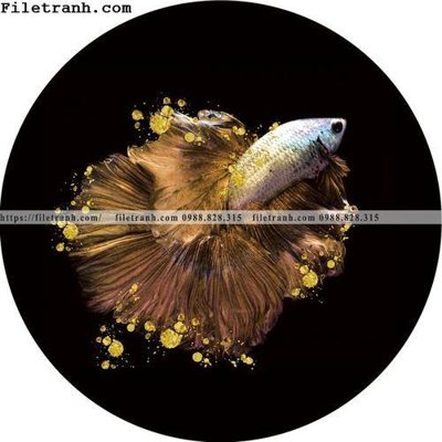 File gốc in mica ca vang mau sac sang trong nhe nhang 154 chất lượng