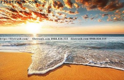 Tải file canh hoang hon tren bien 131 (ảnh gốc) độ phân giải 300dpi