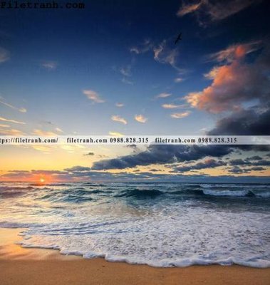 Hình ảnh gốc canh hoang hon tren bien 137 (để in khổ lớn)