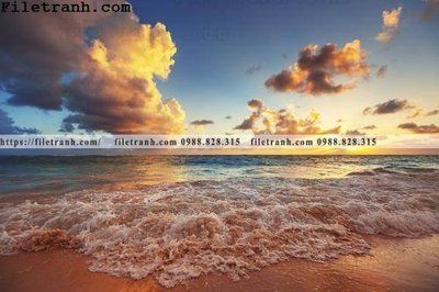 File in lụa canh hoang hon tren bien 160 (hoa văn) canh hoang hon tren bien 160