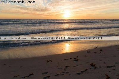 File in ấn canh hoang hon tren bien 168 (bản gốc) từ file gốc