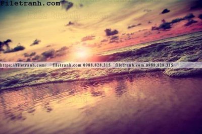 File gốc canh hoang hon tren bien 182 (ảnh rõ nét) để in