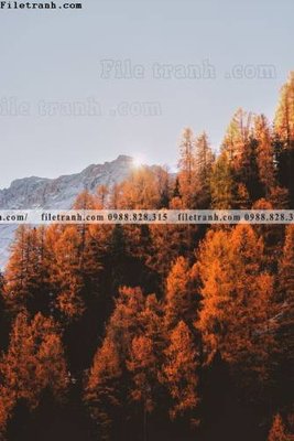 File gốc canh tuyet tren dinh nui 505 (chủ đề hiện đại) trang trí