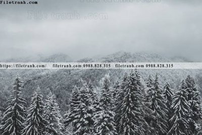 File gốc in mica canh tuyet tren dinh nui 512 chất lượng