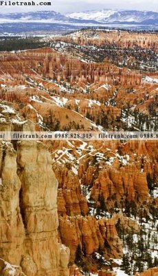 File tranh gốc canh tuyet tren dinh nui 535 (bản quyền) Filetranh.com