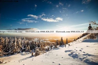 Tải file tranh gốc canh tuyet tren dinh nui 538 chất lượng cao