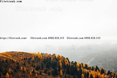 Tải file canh tuyet tren dinh nui 545 (gốc) in ấn chất lượng