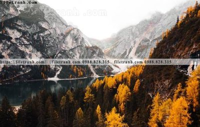 File gốc in ấn canh tuyet tren dinh nui 553 chuẩn màu CMYK