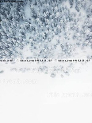 Tải file canh tuyet tren dinh nui 604 (ảnh gốc) độ phân giải 300dpi