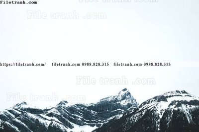 File gốc canh tuyet tren dinh nui 612 (in tráng gương) hiện đại