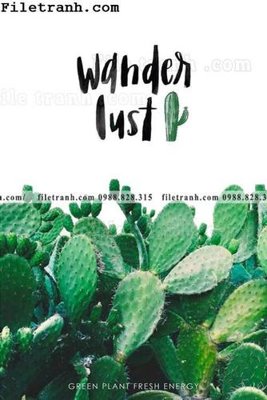 File PSD cay xanh tuoi nho 119 (gốc) cho in quảng cáo