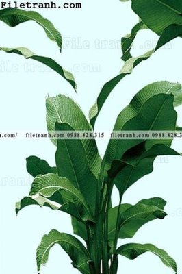 Tải file cay xanh tuoi nho 120 (PSD) cho in tranh 3D