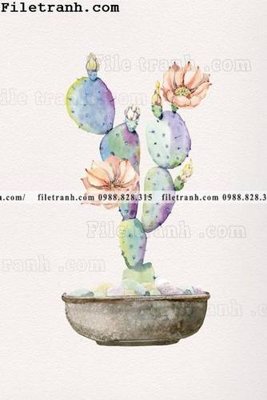 File in trần cay xanh tuoi nho 126 (bản gốc) đại dương