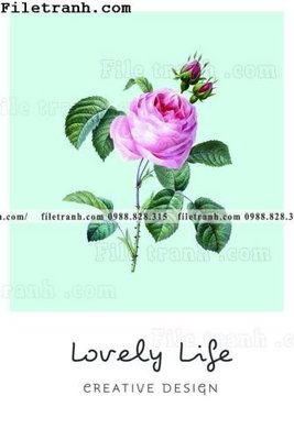 Ảnh gốc cay xanh tuoi nho 132 (nét căng) in mica