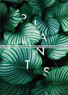 File gốc cay xanh tuoi nho 147 (in lụa) hoa văn cổ điển