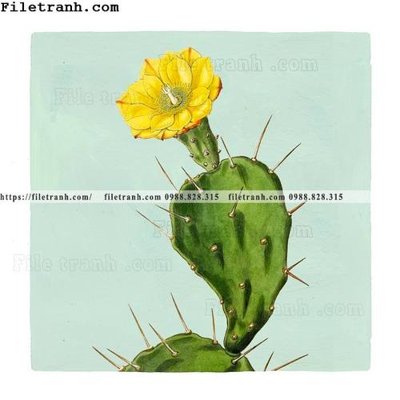 File ảnh cay xanh tuoi nho 154 (gốc) cho trang trí nội thất