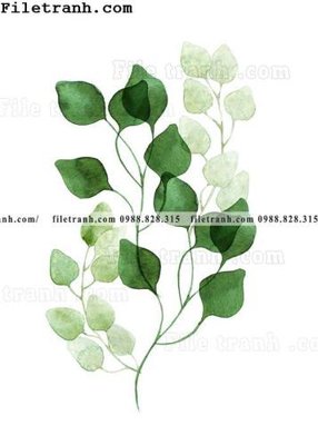 File in trần cay xanh tuoi nho 166 (file gốc) xuyên sáng