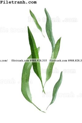 Tải file tranh gốc cay xanh tuoi nho 183 chất lượng cao