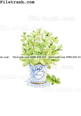 File in trần cay xanh tuoi nho 186 (bản gốc) trời sao