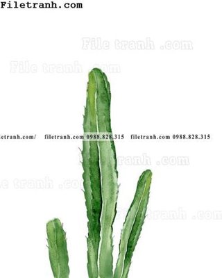 Ảnh gốc cay xanh tuoi nho 191 (nét căng) in mica