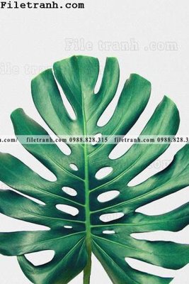 Tải file cay xanh tuoi nho 202 (PSD) cho in tranh 3D