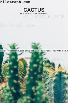 File PSD cay xanh tuoi nho 211 (bản gốc) dễ dàng edit