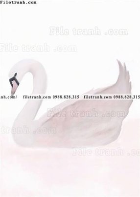 Tải file co gai nhay mua mau nuoc 503 (ảnh gốc) file AI/EPS