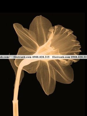 Chi tiết file gốc decor tranh bo tong hop 107 (cho in tráng gương)