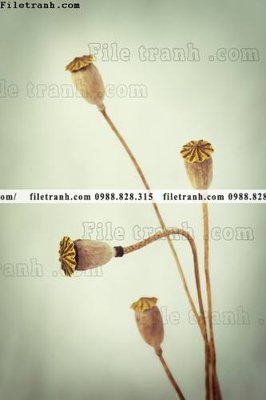 Tải về file gốc decor tranh bo tong hop 129 (dùng cho in quảng cáo)