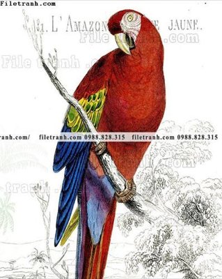 File in ấn chuyên nghiệp decor tranh bo tong hop 150 (file gốc)