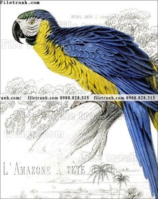 File tranh decor tranh bo tong hop 152 (gốc) chủ đề tĩnh vật