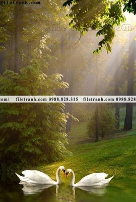 File gốc decor tranh bo tong hop 180 (PNG) không nền chất lượng