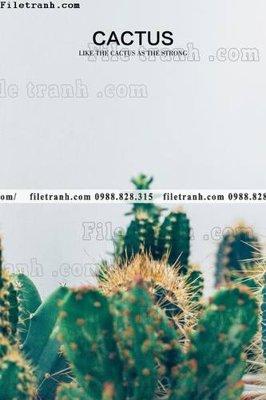 File gốc decor tranh bo tong hop 231 (in ấn) không giới hạn