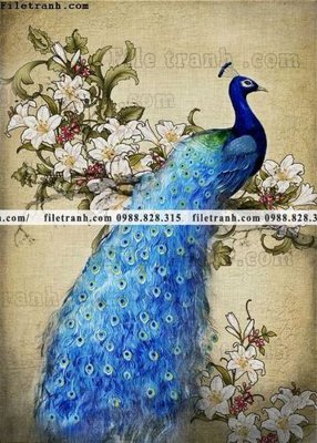 File in trần decor tranh bo tong hop 248 (bản gốc) 5D