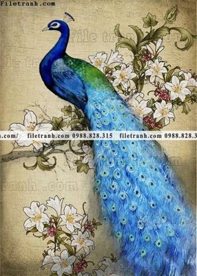 Tải file gốc decor tranh bo tong hop 250 (in không vỡ ảnh)