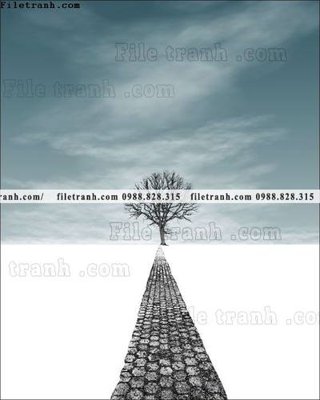 File tranh decor tranh bo tong hop 278 (bản gốc) in canvas