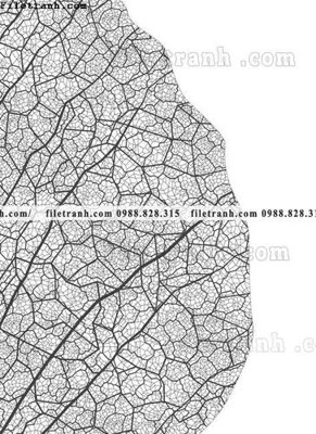 File gốc decor tranh bo tong hop 315 (cho in ấn) từ Filetranh.com