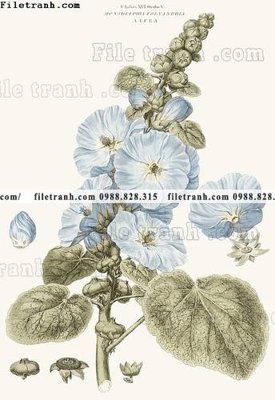 File tranh decor tranh bo tong hop 343 (ảnh gốc) độ nét vượt trội