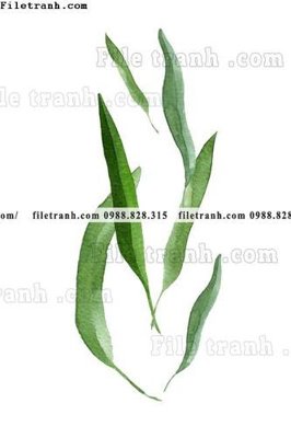 Download file gốc decor tranh bo tong hop 357 (in lụa) hoa lá