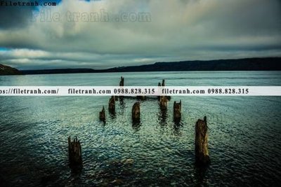 File PSD decor tranh bo tong hop 447 (gốc) nhiều lớp (multi-layer)