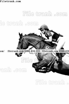 File in trần decor tranh bo tong hop 475 (bản gốc) mây trời