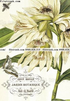 File in trần decor tranh bo tong hop 478 (bản gốc) hoa văn